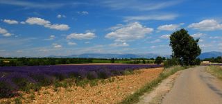 path g25b96183b 1920