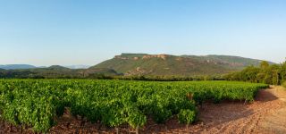 panoramique vignobles le muy camping la prairie