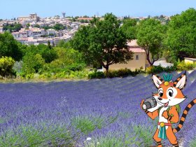 camping oxygne  valensole