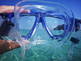 plonge   activits var