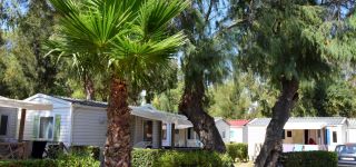 dsc 6508 (personnalis)