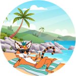 tiky rond site plage