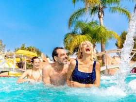 camping les palmiers toulon.jpeg