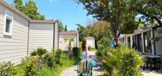 okbest (2) (personnalis)