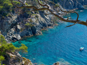 design sans titre   2025 01 24t152524.529