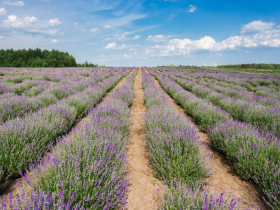 design sans titre   2025 01 27t092803.448