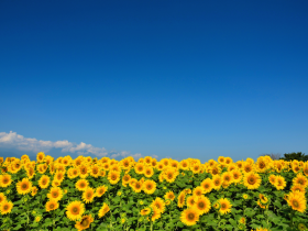 design sans titre   2025 01 27t115835.770