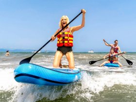 activit les palmiers