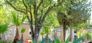 nos locations camping le golfe de saint tropez