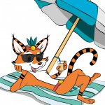 choisir tikayan pour les prestations