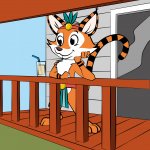 choisir tikayan pour hebergement grand confort