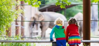 sortie au zoo avec les enfants
